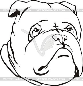 Bulldog - vector clipart