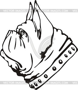 Bulldog - vector clipart