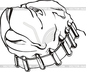 Bulldog - vector image