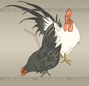 Hen and rooster (by Biho) - vector clipart