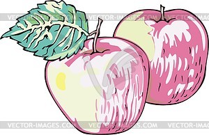 Apples - vector image