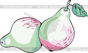 Pears - vector image