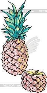 Pineapple - vector image