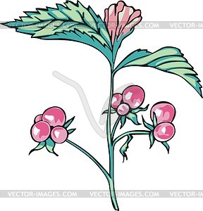 Stone bramble - vector clipart