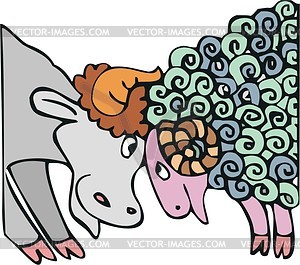 Bull and ram - vector clipart