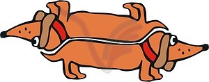 Dachshunds cartoon - vector clipart