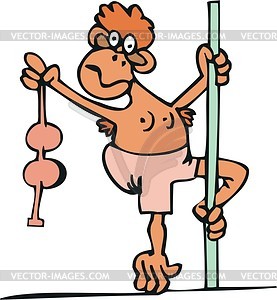 Monkey strip-tease - vector clipart