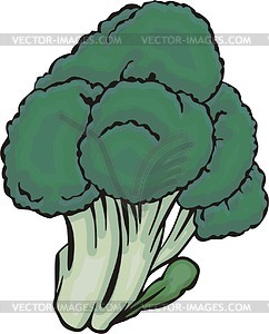 Broccoli - vector clip art