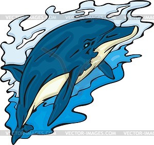 Dolphin - vector image