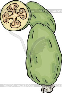 Feijoa - vector clipart