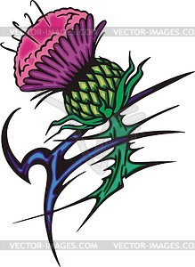 Thistle tattoo - vector clipart