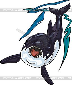 Killer whale (orca) - color vector clipart
