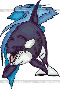 Killer whale (orca) - vector clip art