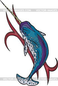 Narwhal (Monodon monoceros) - vector image