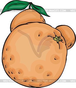 Orange - vector image