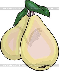 Pear - vector clip art