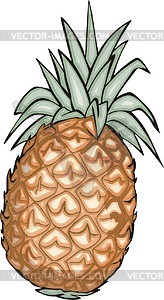Pineapple - vector clipart / vector image