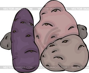 Potatoes - vector clip art