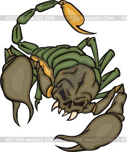 Scorpion tattoo - vector image