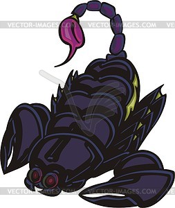 Scorpion - vector image