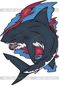 Shark - vector clipart