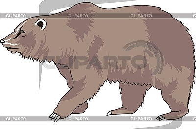 Бурый медведь | Векторный клипарт |ID 2005843