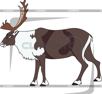 Deer | Stock Vector Graphics |ID 2003817
