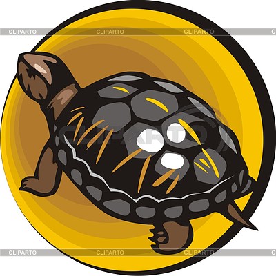 Черепаха | Векторный клипарт |ID 2003780