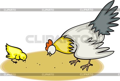 Петух и цыплёнок | Векторный клипарт |ID 2014679
