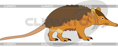 Animal | Stock Vector Graphics |ID 2011538