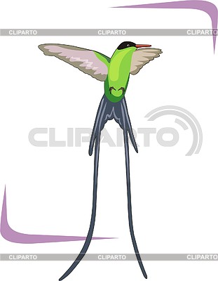 Humming-bird | Stock Vector Graphics |ID 2007586