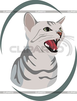 Gato | Ilustración vectorial de stock |ID 2003670