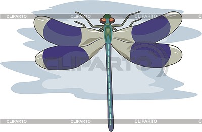 Libélula | Ilustración vectorial de stock |ID 2006083
