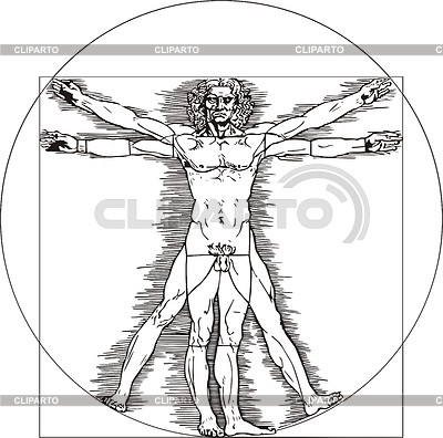 Витрувианский человек - гравюра Леонардо да Винчи | Векторный клипарт |ID 2011731