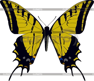 Бабочка Papilio multicaudatus | Векторный клипарт |ID 2018824