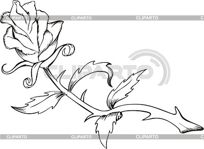 Rosa | Ilustración vectorial de stock |ID 2005772