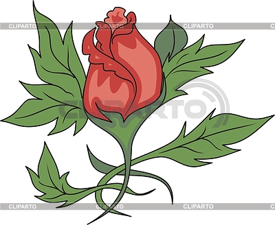 Rose | Stock Vector Graphics |ID 2018599
