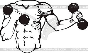 Body with dumbbells - vector clip art