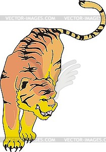 Wild tiger - vector clipart