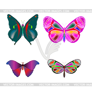 Multicolored butterflies - vector clip art