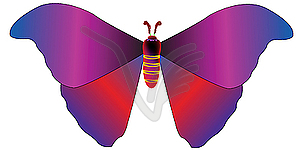 Blue and red butterfly - vector clipart