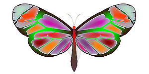 Butterfly 3 - vector clip art