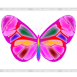 Pink butterfly - vector clip art