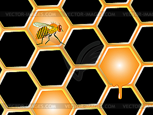 Bee and honey - vector clip art