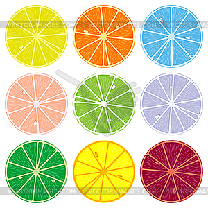 Citrus collection - vector clipart