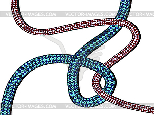 Climbing ropes - vector clipart