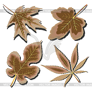 Dry leaves collection against white - vector clip art