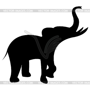 Elephant black silhouette isolated on white - vector image