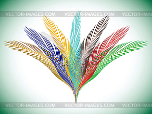 Feathers fan - vector clip art