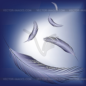 Feathers in the wind - vector clipart